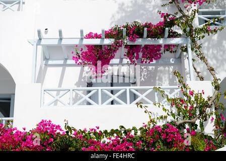 Edificio in stile greco tradizionale, Santorini Island, Grecia Foto Stock