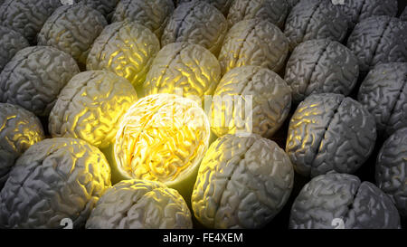 Il cervello di un genius Foto Stock