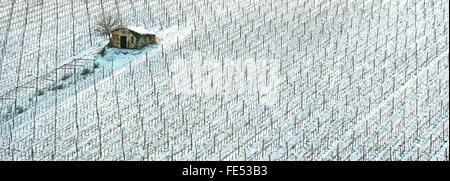 Vigneti righe coperta di neve in inverno, un rurale casa piccola e l'albero. La campagna del Chianti, Firenze, Regione Toscana, Italia Foto Stock