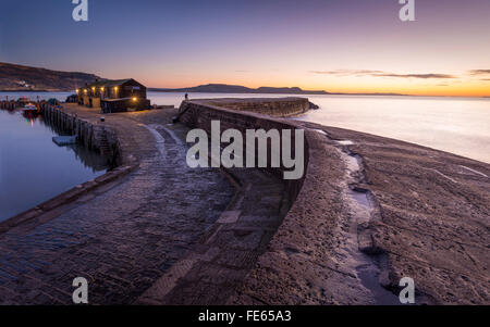 Il Cobb a Lyme Regis nel Dorset. Foto Stock