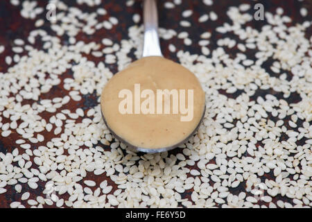 Tahini in un cucchiaio e semi seasame sull'ardesia Foto Stock