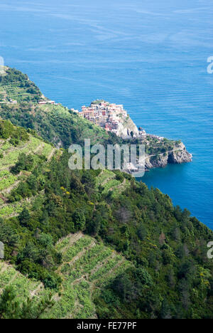 Vigneti e colline nel Parco Nazionale delle Cinque Terre, Italia Foto Stock