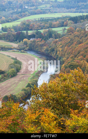 Vista in elevazione della parte inferiore della Wye Valley con il fiume Wye avvolgimento attraverso il paesaggio vicino, Llandogo Monmouthshire, Galles Foto Stock
