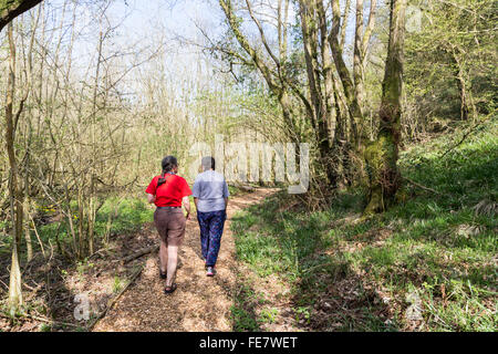 Due donne camminando sul percorso attraverso Coed-y-Cerrig riserva naturale, Wales, Regno Unito Foto Stock