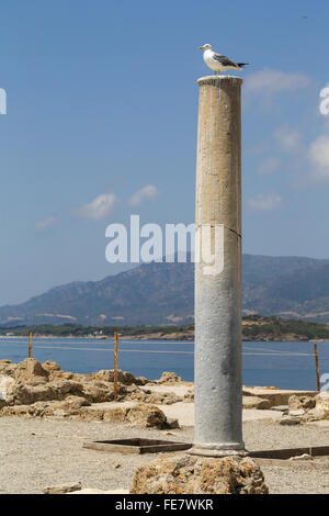 Le antiche rovine romane di Nora, vicino a Pula in Sardegna Foto Stock