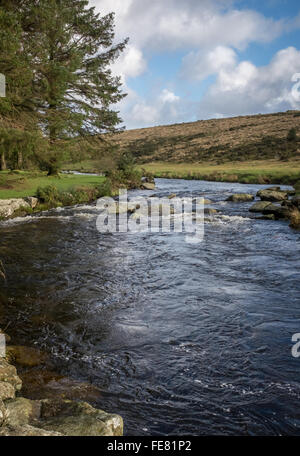 Il est fiume Dart a bellever,dartmoor Foto Stock