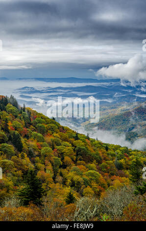 Mattina nuvole basse appeso sopra la Blue Ridge Parkway in autunno Foto Stock