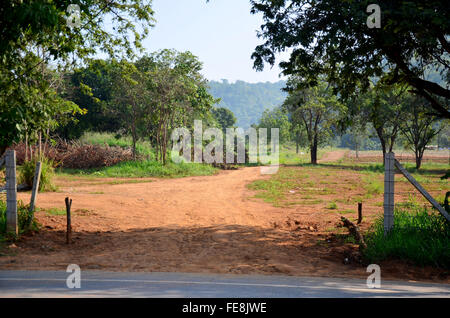 Strada del terreno di campagna a Khao Yai in Nakhon Ratchasima, Thailandia Foto Stock