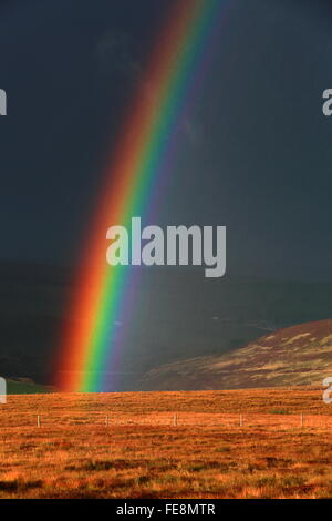 Rainbow su Woodhead passano tra Sheffield e Manchester Foto Stock