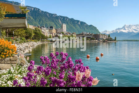 Fiori di primavera am Quai des Fleures, Montreux, Lago di Ginevra, Svizzera Foto Stock