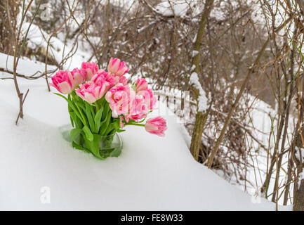 Rosa fresca e tulipani bianchi sono in un vaso rotondo nella neve contro lo sfondo di inverno coperto di neve e alberi. Foto Stock