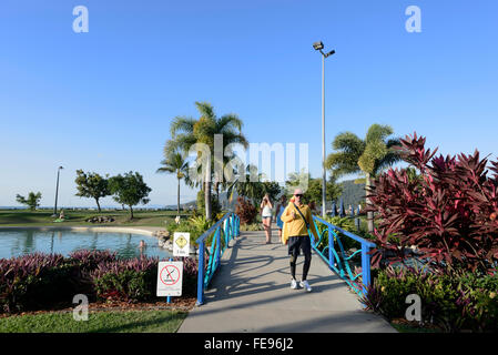 La Laguna, Airlie Beach sulla costa di Whitsunday, Queensland, Australia Foto Stock