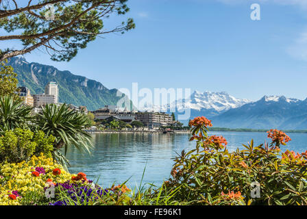Fiori di primavera am Quai des Fleures, Montreux, Lago di Ginevra, Svizzera Foto Stock