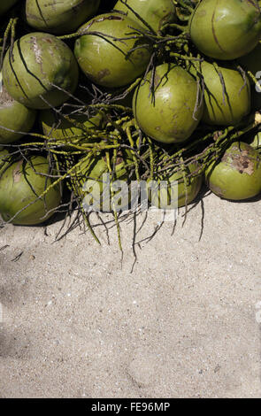 I grappoli di noci di cocco verde impilati pronti per essere reso in bevande rinfrescanti da venditori sulla spiaggia per i turisti in Pattaya Thailandia Foto Stock