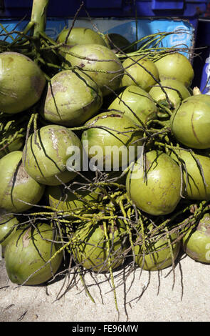 I grappoli di noci di cocco verde impilati pronti per essere reso in bevande rinfrescanti da venditori sulla spiaggia per i turisti in Pattaya Thailandia Foto Stock