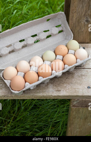 Scatola in cartone della dozzina Araucana multicolori le uova sulla panca di legno al mercato degli agricoltori Foto Stock