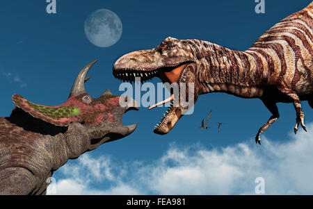 Un Triceratops AFFRONTARE UN T.REX. Foto Stock