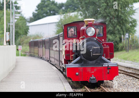 Un treno di passeggeri che arrivano a Wroxham sulla bure Valley Railway in Norfolk Foto Stock