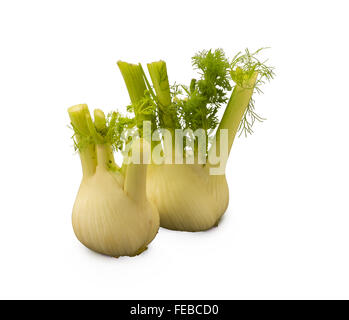 Coppia organico di finocchio isolati su sfondo bianco Foto Stock