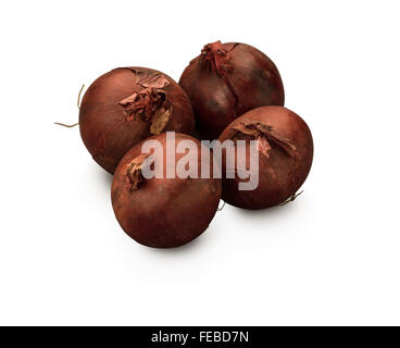 Cipolle organici isolati su sfondo bianco Foto Stock