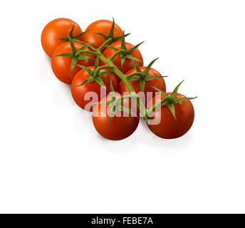 Pomodori ciliegia vine isolati su sfondo bianco Foto Stock