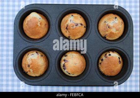 In casa muffin ai mirtilli Foto Stock
