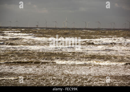 Tempesta onde Walney Island, Cumbria, Regno Unito, all indomani della tempesta Gertrude, che colpiscono il Regno Unito, con venti di fino a 132 mph vengono registrati. Foto scattata sabato 30 gennaio 2016. Il colpo è guardando verso l'Ormonde e Walney impianti eolici offshore. Foto Stock