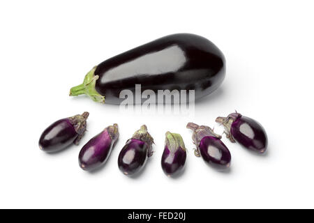 Baby viola melanzane e una grande su sfondo bianco Foto Stock