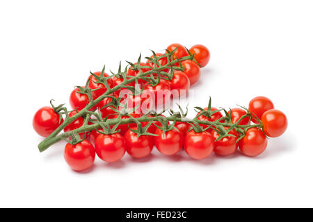 Piccoli freschi pomodori ciliegia su una vite su sfondo bianco Foto Stock