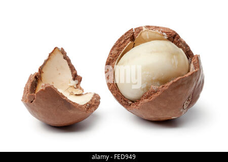 Noce Macadamia in un guscio rotto su sfondo bianco Foto Stock