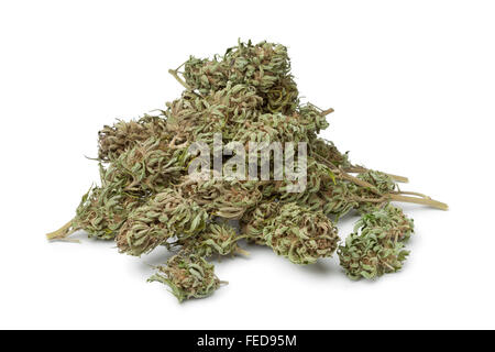 Essiccata la marijuana gemme con THC visibile su sfondo bianco Foto Stock