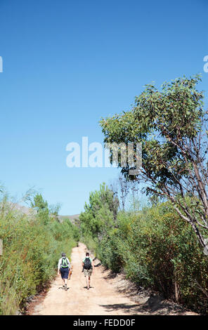 Escursionismo in Sud Africa, nr Caledon, Western Cape, Sud Africa Foto Stock