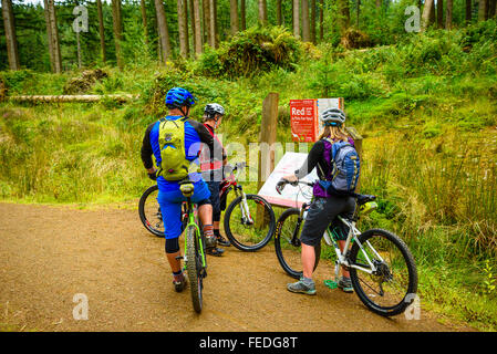 Gli amanti della mountain bike all'avvio di Lonesome Pine Trail in Kielder Forest Park e Parco nazionale di Northumberland Foto Stock