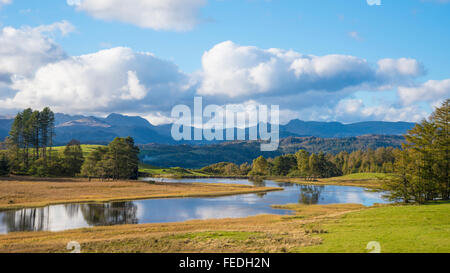 Saggio Een Tarn sulle altezze Claife Lake District con Wetherlam Bowfell e The Langdale Pikes sullo skyline Foto Stock