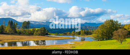 Panorama di Wise Een Tarn sulle altezze Claife Lake District con Wetherlam Bowfell e The Langdale Pikes sullo skyline Foto Stock