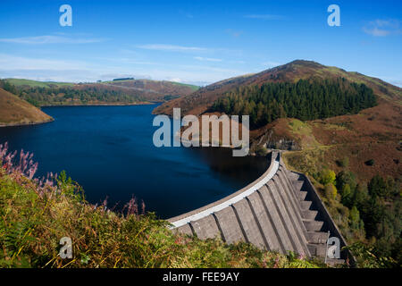 Llyn Clywedog serbatoio del lago in autunno Montagne Cambriano Powys Mid Wales UK Foto Stock