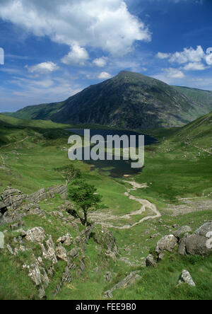 Cwm Idwal in estate vista su Llyn Idwal lago e penna yr Ole Wen Carneddau gamma Glyderau Snowdonia National Park Gwynedd Nord Foto Stock