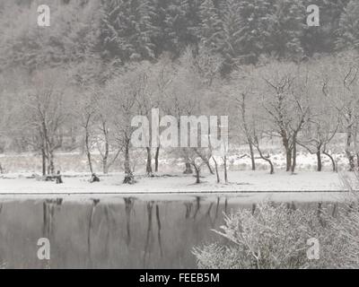 Loch Tulla, Scozia in un giorno di neve nel gennaio 2016 Foto Stock
