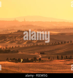 Toscana, colline sul tramonto. Crete Senesi Paesaggio rurale. Campi verdi, una fattoria con cipressi e Siena città in backgr Foto Stock