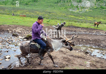 Duhkha (stesso come Tsaatan) uomo a cavallo delle sue renne Foto Stock