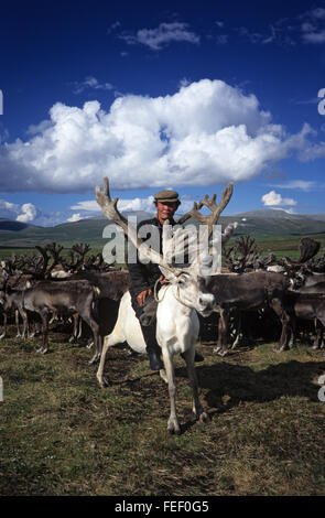Duhkha (stesso come Tsaatan) uomo a cavallo delle sue renne Foto Stock