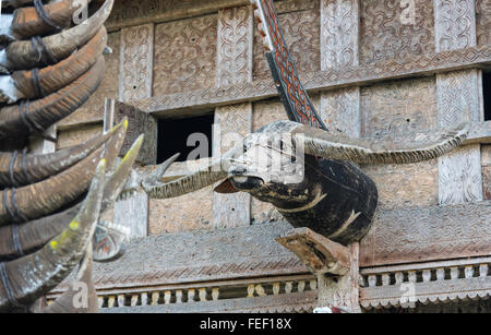 Intagliato testa di buffalo decorazione su Tongkonan casa tradizionale Buntu villaggio di Pune. Tana Toraja, Sulawesi. Indonesia Foto Stock