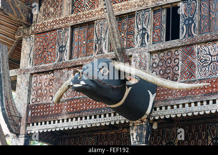 Intagliato testa di buffalo decorazione su Tongkonan casa tradizionale Buntu villaggio di Pune. Tana Toraja, Sulawesi. Indonesia Foto Stock