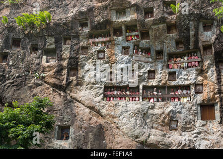 Lemo scogliere è vecchio luogo di sepoltura di Tana Toraja. Le gallerie di tau-tau guardia dei sepolcri. A Sud di Sulawesi, Indonesia Foto Stock