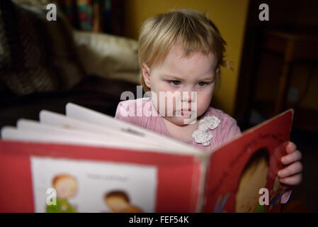 Un diciotto mesi di età bambino attentamente guardando una foto libro. Foto Stock