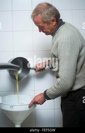 La produzione di olio d'oliva. Fresche olio vergine di oliva versare nel serbatoio Foto Stock