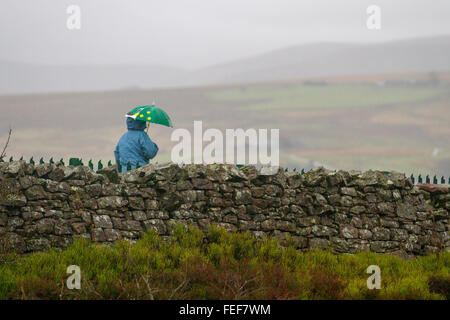 Tebay, Cumbria, Regno Unito il 6 febbraio, 2016. Trainspotters, in gales e guida sotto la pioggia, attendono l'arrivo di locomotiva a vapore BR 60103 Flying Scotsman percorre la linea principale della costa occidentale a Carlisle. Credito: Mar fotografico/Alamy Live News Foto Stock