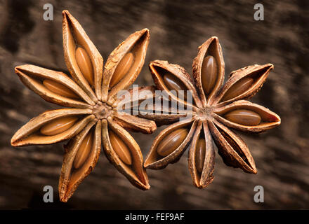 Fotografia macro di due Anice Stellato isolato su un marrone rustico sfondo testurizzata che mostra i semi all'interno Foto Stock