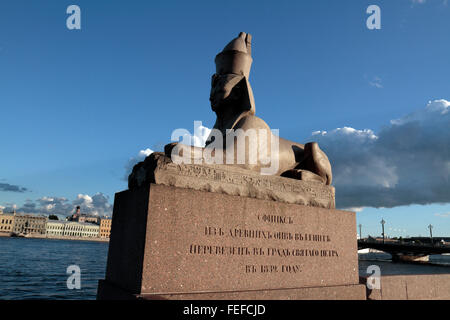 Uno dei due egiziani sphinx su Unversitetskaya Naberezhnaya (Università Embankment) a San Pietroburgo, Russia. Foto Stock