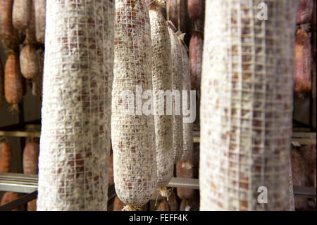 Close up su righe di invecchiamento speziato salame salumi appesi in una macelleria durante la fase di polimerizzazione e il processo di essiccazione Foto Stock